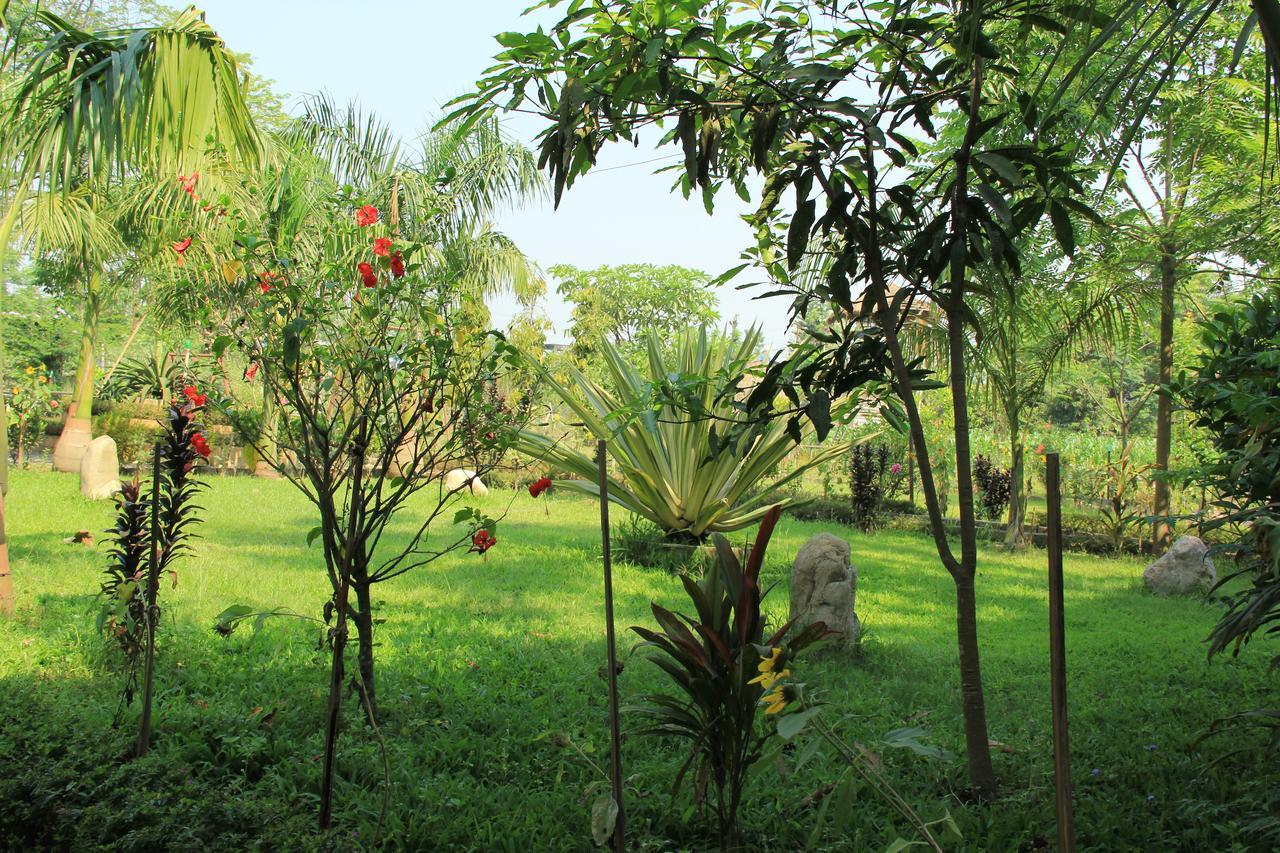 Chitwan Safari Camp & Lodge Sauraha Exterior foto